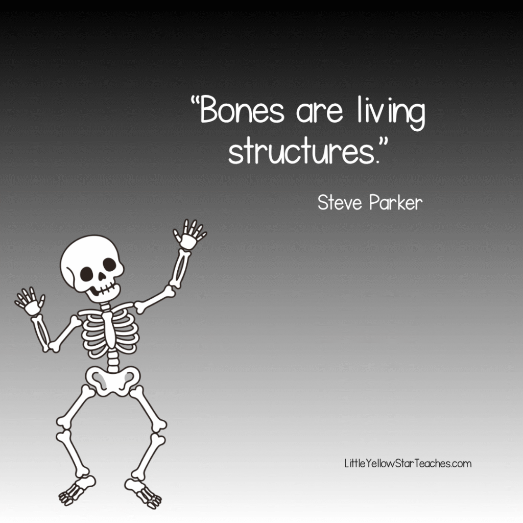 Skeleton Quotes for Kids