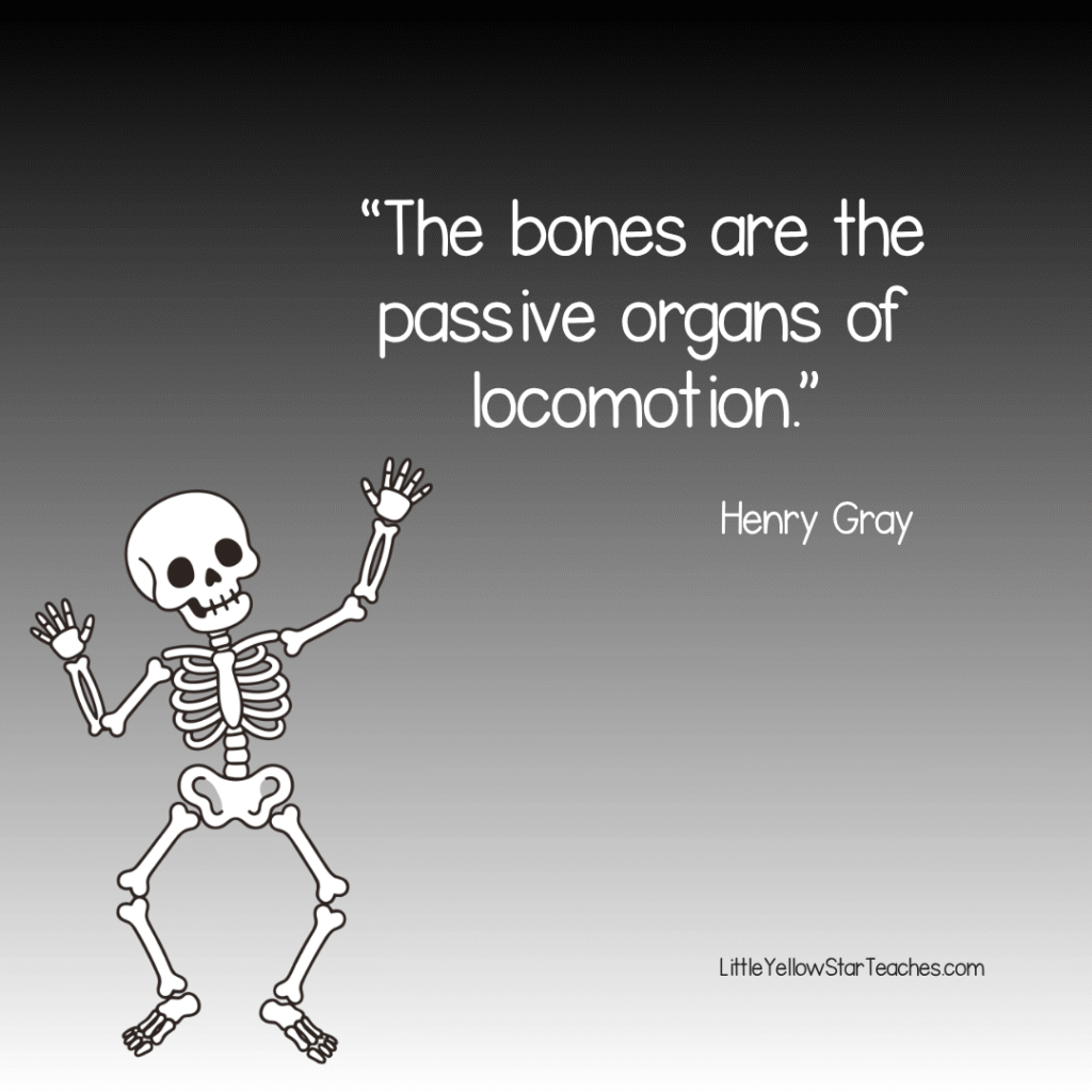 Skeleton Quotes for Kids