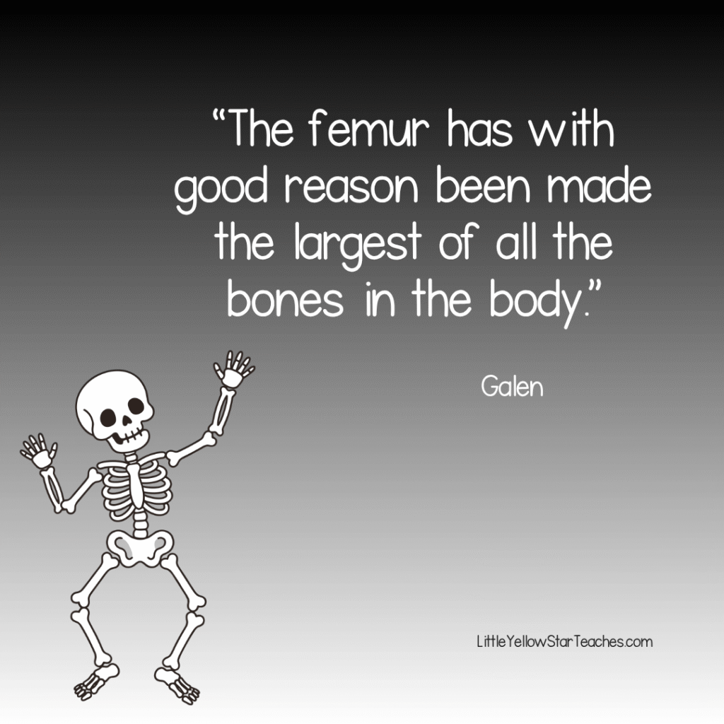 Skeleton Quotes for Kids