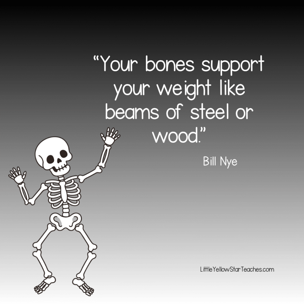 Skeleton Quotes for Kids