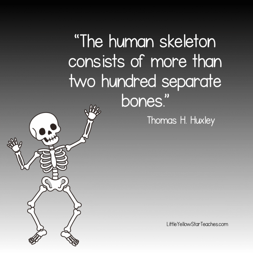 Skeleton Quotes for Kids
