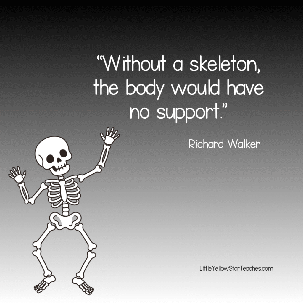 Skeleton Quotes for Kids