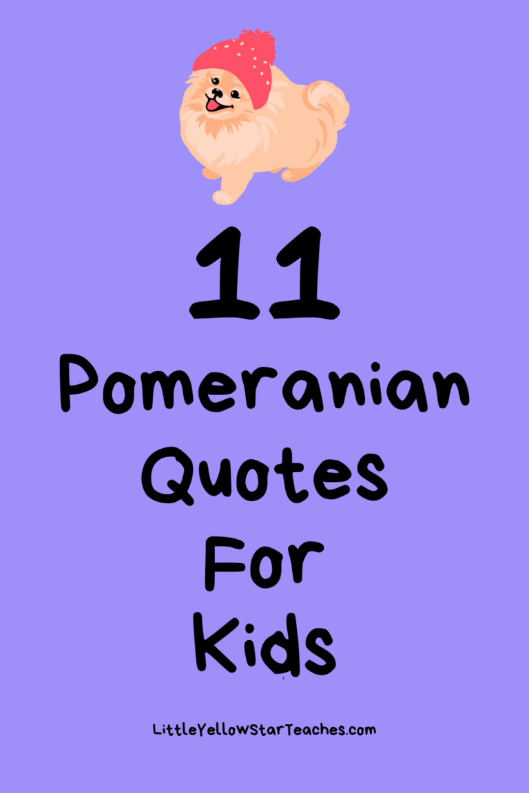Pomeranian Quotes for Kids