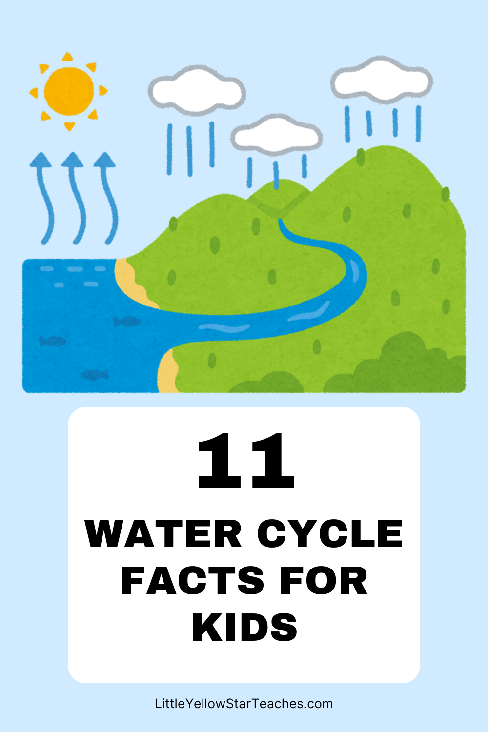 Water Cycle Facts for Kids