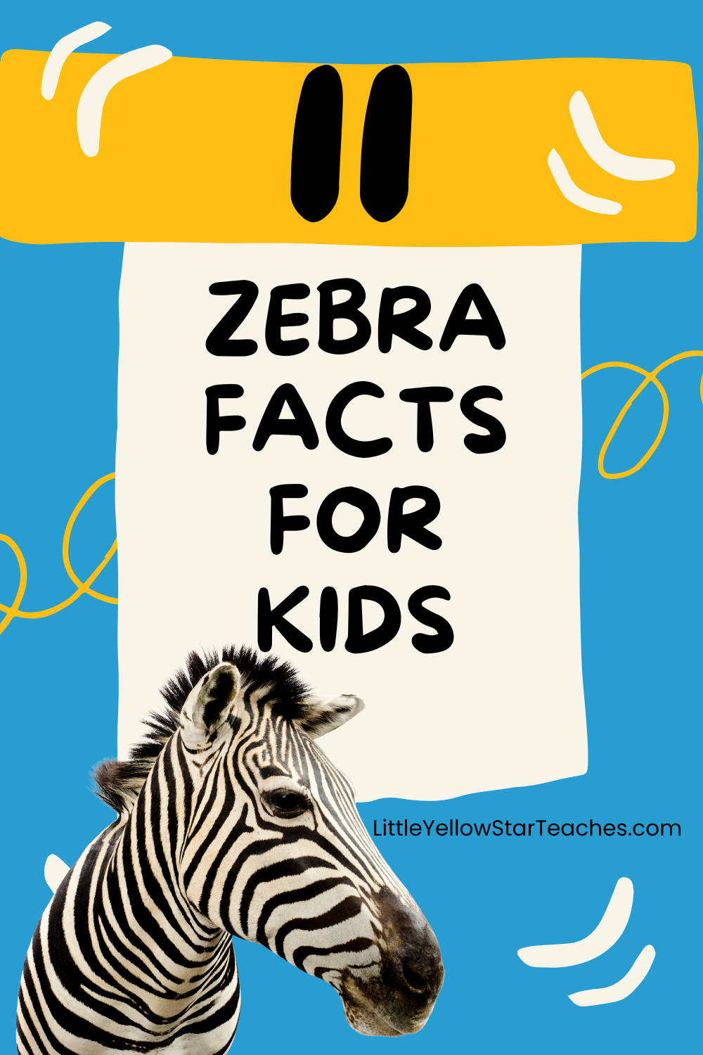 Zebra Facts for Kids
