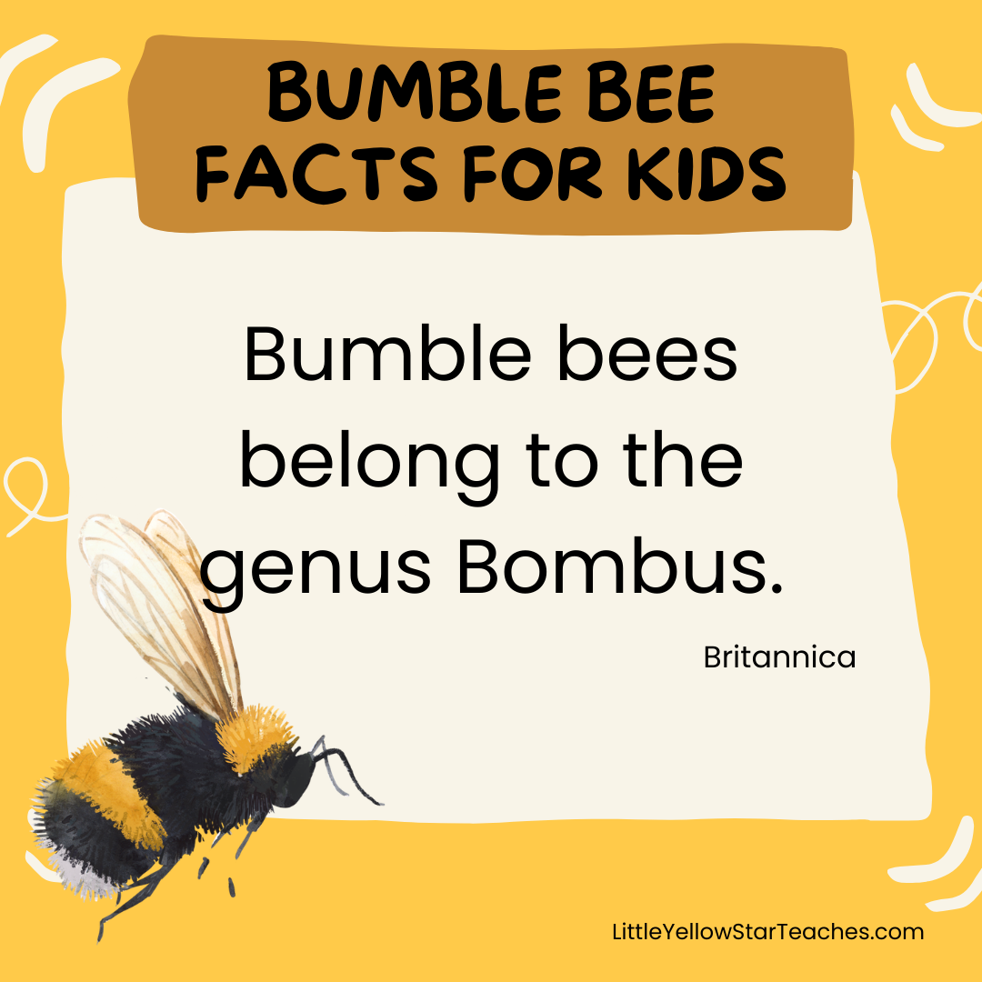 11 Bumble Bee Facts for Kids - LittleYellowStar
