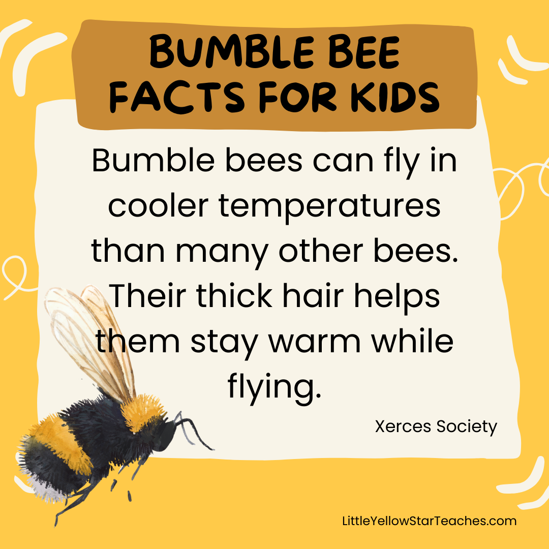 11 Bumble Bee Facts for Kids - LittleYellowStar
