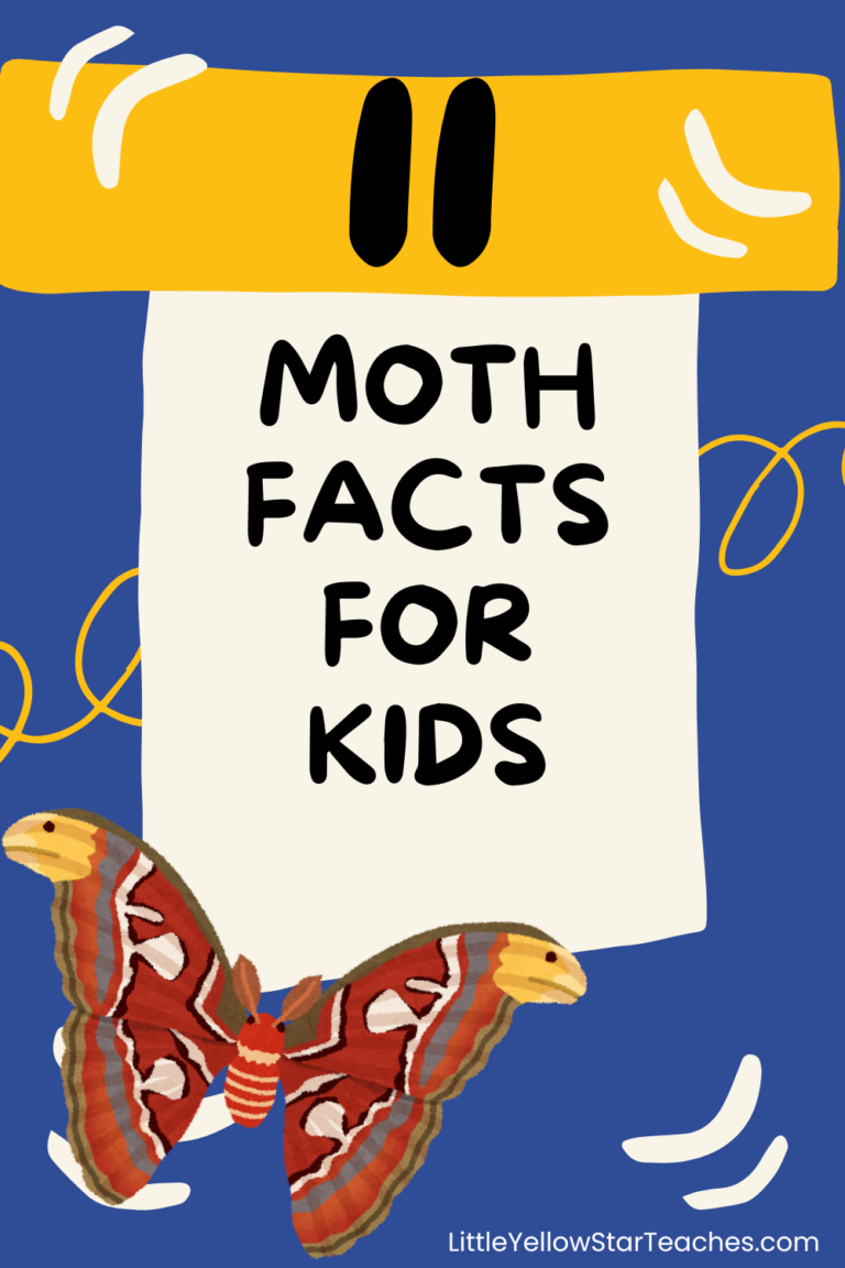 Moth Facts for Kids