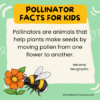 11 Pollinator Facts for Kids - LittleYellowStar