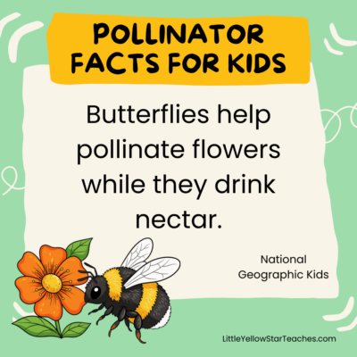 11 Pollinator Facts for Kids - LittleYellowStar