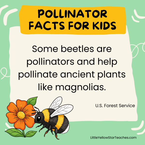 11 Pollinator Facts for Kids - LittleYellowStar