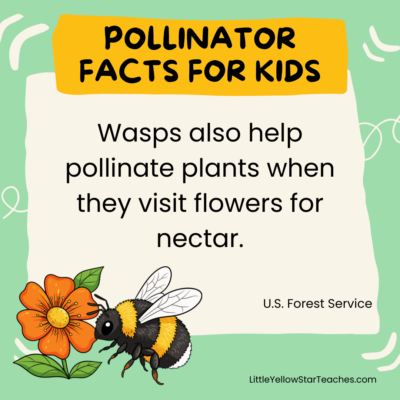 11 Pollinator Facts for Kids - LittleYellowStar