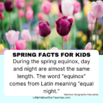 11 Spring Facts for Kids - LittleYellowStar