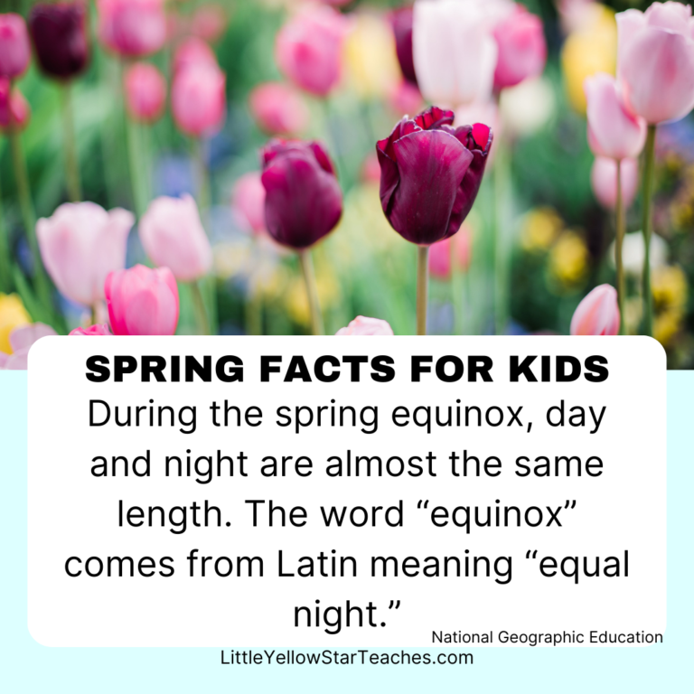 11 Spring Facts for Kids - LittleYellowStar