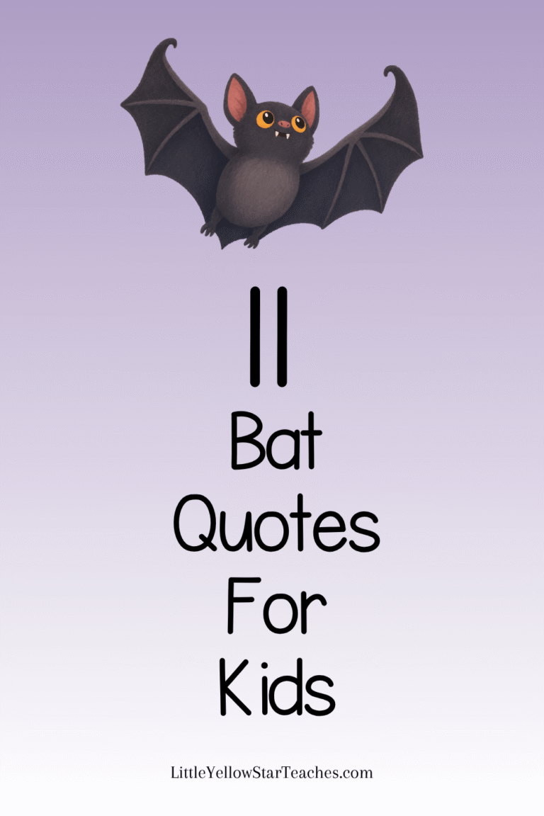 Bat Quotes for Kids